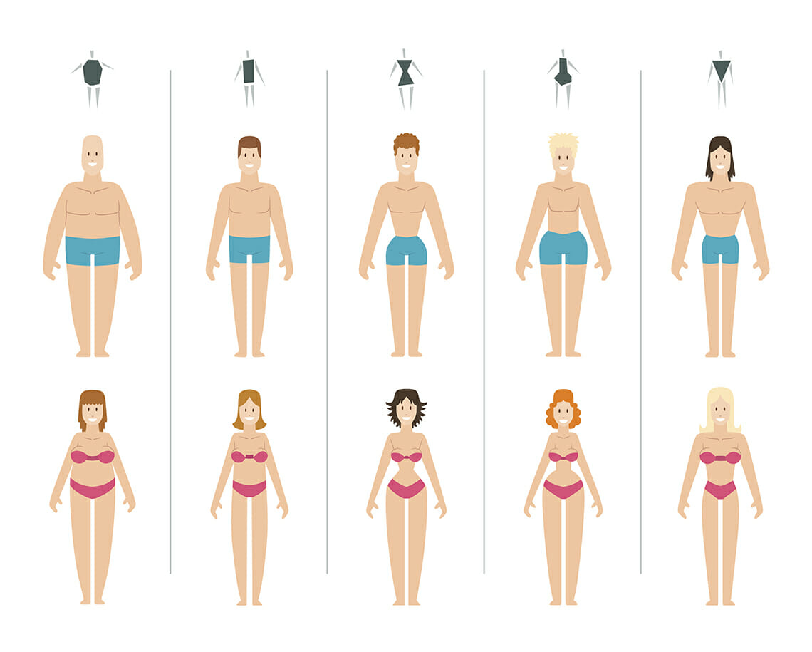 female and male body types image